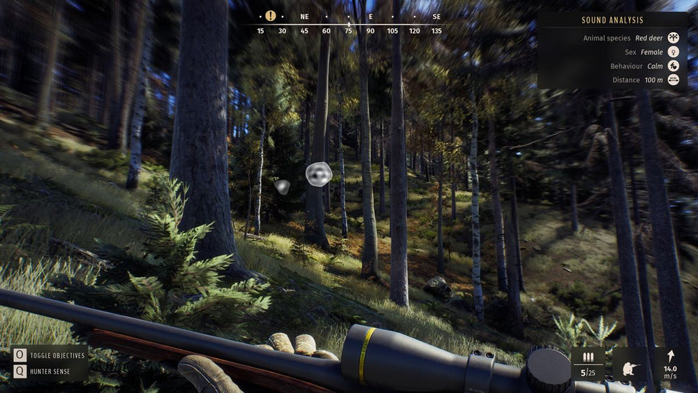 Way of the Hunter - PS5