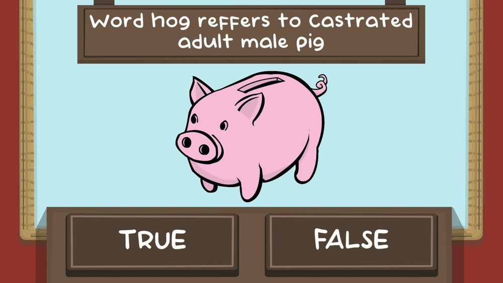 The Pig Quiz - PS5