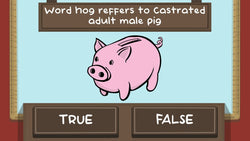 The Pig Quiz - PS5