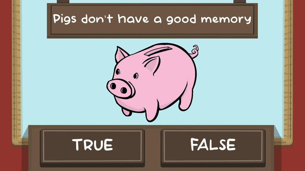 The Pig Quiz - PS5