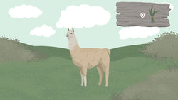 The Llama L - PS5
