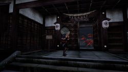 Kamiwaza: Way of the Thief - Switch