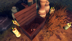 Hidden Paws Mystery - PS5