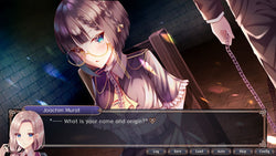 Napoleon Maiden: Episode 1 - A maiden without the word impossible - PS5