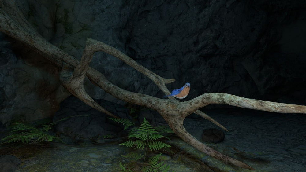 Colossal Cave - PS5