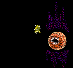 Abadox: The Deadly Inner War - NES