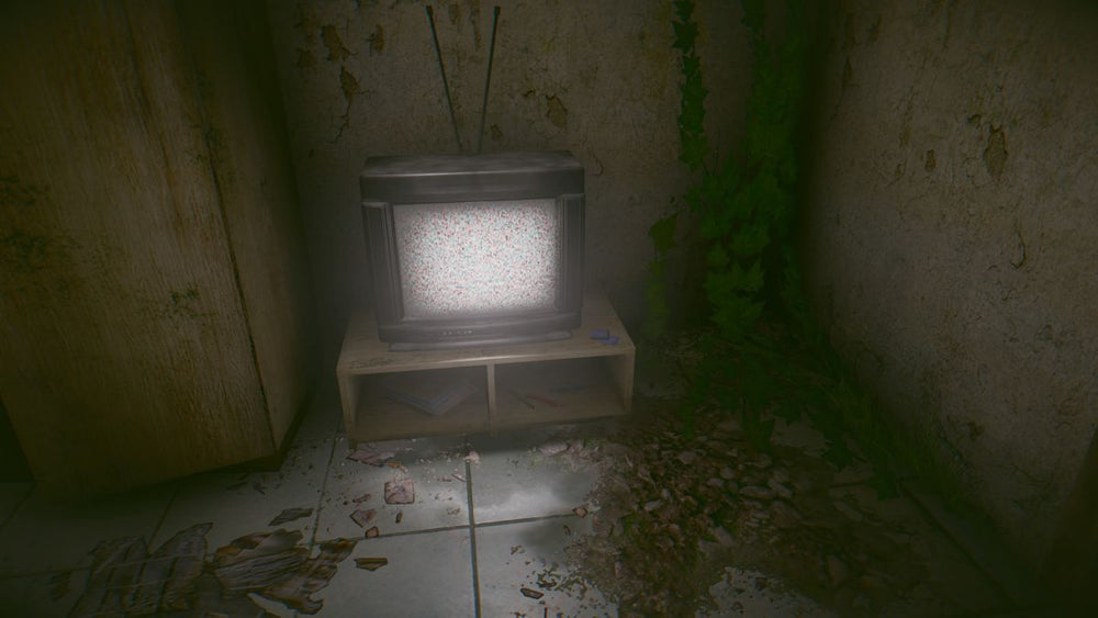 The Light: Remake - PS5