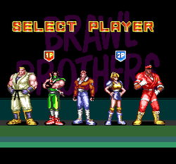 Brawl Brothers - SNES