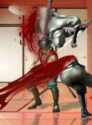 Rising Zan: The Samurai Gunman - PS3