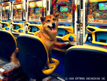 SanyÅ Pachinko Paradise 3: Wan Wan DaikÅshin - PS3