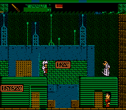 The Adventures of Rad Gravity - NES