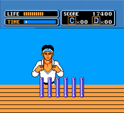 The Karate Kid - NES