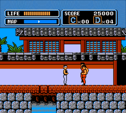 The Karate Kid - NES