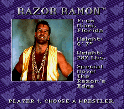WWF Royal Rumble - SNES