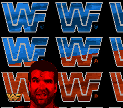 WWF Raw - SNES