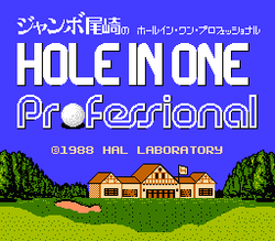 Hole in One Professional - NES