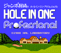 Hole in One Professional - NES