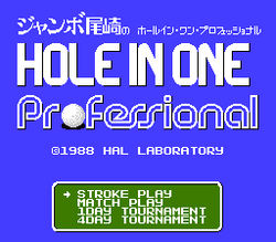 Hole in One Professional - NES