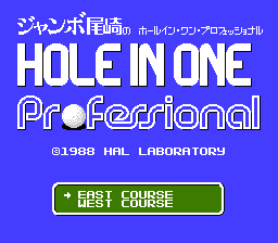 Hole in One Professional - NES