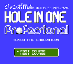 Hole in One Professional - NES