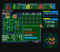 Dungeon Master - SNES