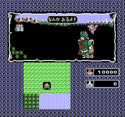 Miracle Warriors: Seal of the Dark Lord - NES