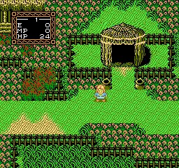 Willow - NES