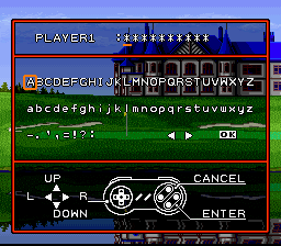 Hole in One Golf - SNES