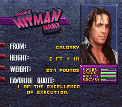 WWF WrestleMania The Arcade Game - SNES