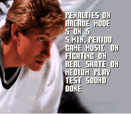 Wayne Gretzky and the NHLPA All-Stars - SNES