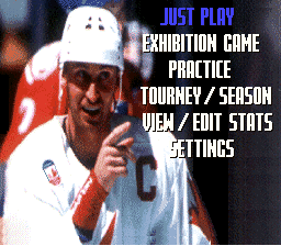 Wayne Gretzky and the NHLPA All-Stars - SNES