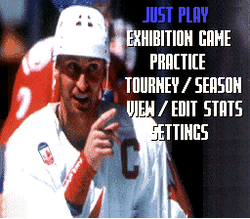 Wayne Gretzky and the NHLPA All-Stars - SNES