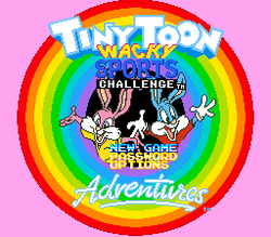 Tiny Toon Adventures: Wacky Sports Challenge - SNES