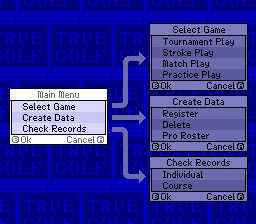 True Golf Classics: Waialae Country Club - SNES