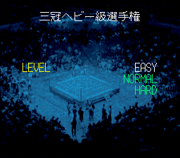 Zen-Nihon Pro Wrestling - SNES