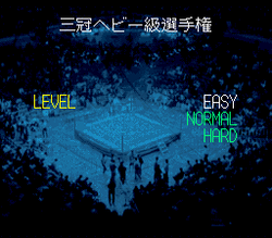 Zen-Nihon Pro Wrestling - SNES