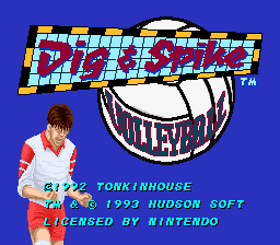 Dig & Spike Volleyball - SNES