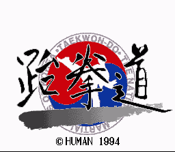 Taekwon-Do - SNES