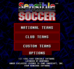 Championship Soccer '94 - SNES