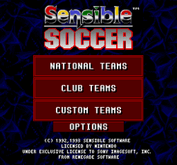 Championship Soccer '94 - SNES
