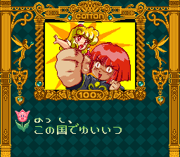 MÃ¤rchen Adventure Cotton 100% - SNES