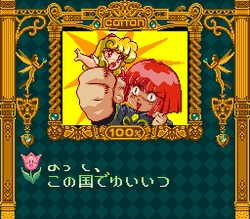 MÃ¤rchen Adventure Cotton 100% - SNES