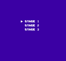 Crime Busters - NES