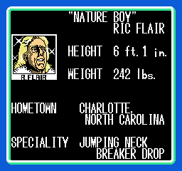 WCW: World Championship Wrestling - NES