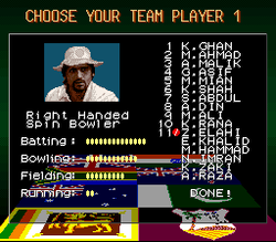 Super International Cricket - SNES
