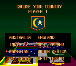 Super International Cricket - SNES