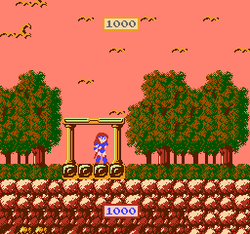 The Wing of Madoola - NES