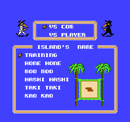 Spy vs. Spy: The Island Caper - NES