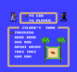 Spy vs. Spy: The Island Caper - NES