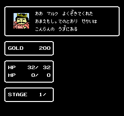 Fuzzical Fighter - NES
